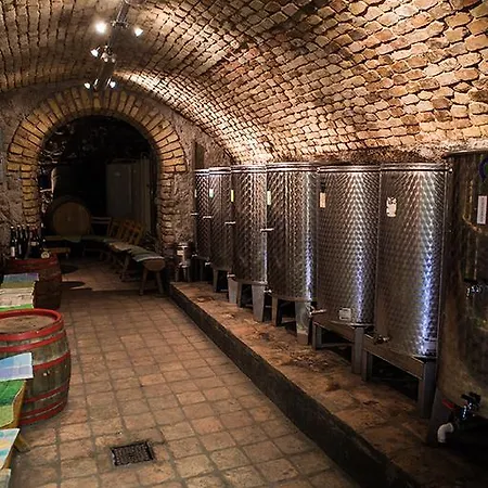 Penzion Borbaratok Panzio Badacsonytomaj